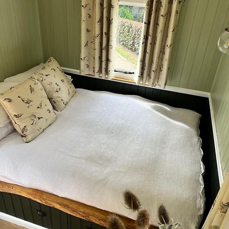 Stonehenge Campsite & Glamping Hotel Berwick St James Exterior photo